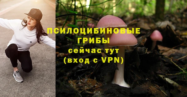 мет Абинск