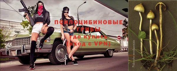 дживик Абаза