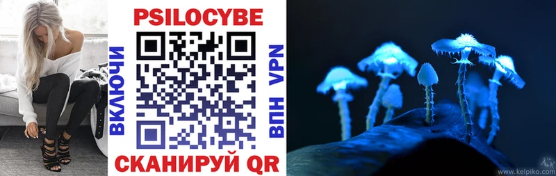 Псилоцибиновые грибы Psilocybine cubensis  Ефремов 
